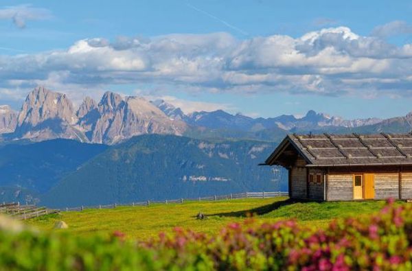 Berglandhotel Untertheimerhof**** - Hoteleigene Alm