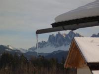 Steierhof - Web Rendition 3