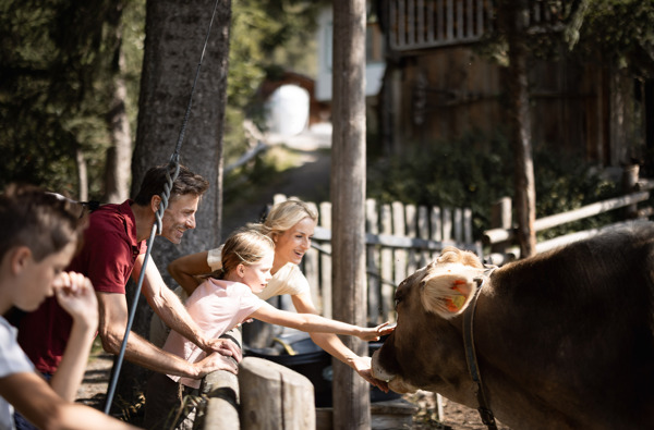 Das Gerstl Family Retreat - Andergassen Web 2276