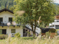 Hofmann Apartments in the Dolomites - 1000028760